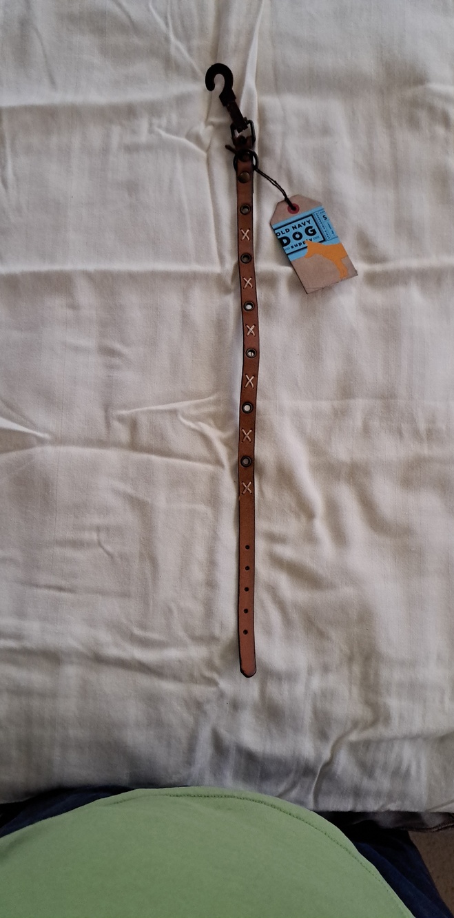 Old Navy Brown Leather Dog Collar with Metal Stud Accents